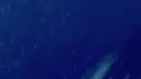 Mayeli Rivera Alonso, ex de Lupillo Rivera.