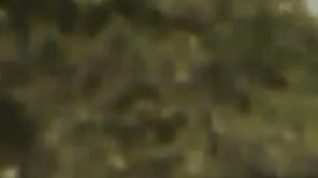 Jessie López perdió a su hijo el día de su cumpleaños.