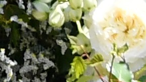 Meghan Markle junto al príncipe Harry.