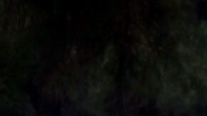 La pareja quería alcanzar "el sueño americano".