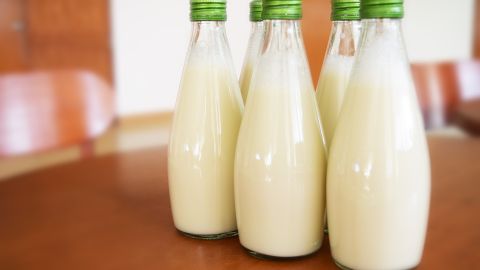 Falta evaluar la leche de cucaracha como súper alimento para humanos.