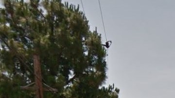 La víctima fue agredida en la cuadra 1500 de la avenida Mitchell.