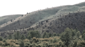 La carretera 395 se reabrió a mediodía.
