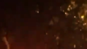 La policía acudió al bloque cero de Maegan Place por "disturbios".