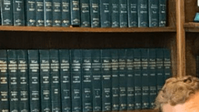 "Me arrancaron el hiyab de la cabeza frente a muchos hombres", dice la demandante.