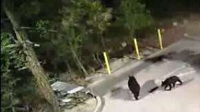 Al llegar fueron captados por las cámaras de seguridad