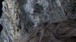 Películas que estrenan este verano 2018