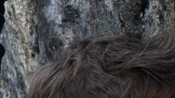 Películas que estrenan este verano 2018