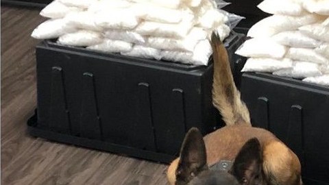 Rye es el perro más nuevo del departamento de West Covina.