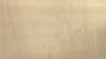 Rocket Dog Rescue se encargó del rescate.