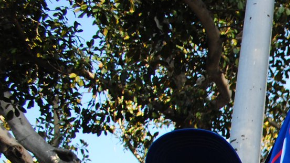 Las leyes santurario generan opiniones encontradas.