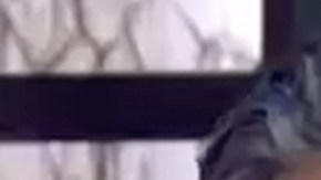 Raúl Araiza y Andrea Legarreta