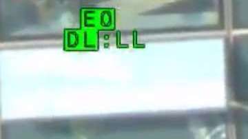 Las autoridades dieron a conocer un video de los hechos.