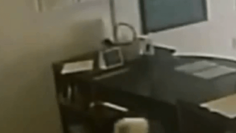 La cámara de seguridad captó el robo.