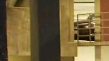 Autoridades indagan en la escena del crimen.
