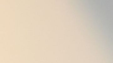 Sandra Bullock, ganadora del Óscar.