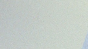 Médico especialista