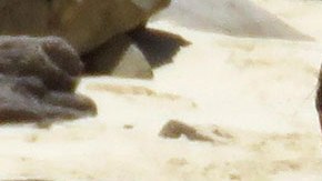 Scott Disick y Sofia Richie.