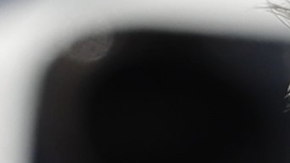 El presidente sigue utilizando Twitter para agredir a sus adversarios.