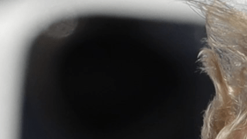 El presidente sigue utilizando Twitter para agredir a sus adversarios.