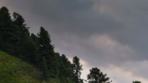 El futuro de la industria.