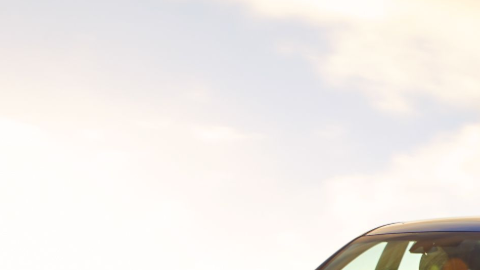 Eficiencia es su nombre.