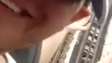 Un niño de 10 años reacciona así a subirse  una montaña rusa.