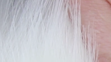 Una manicura de uñas diferente.