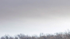 Un motor más pequeño pero igual de poderoso.