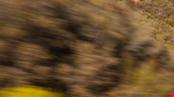 Estas marcas sobresalen como las más duraderas.