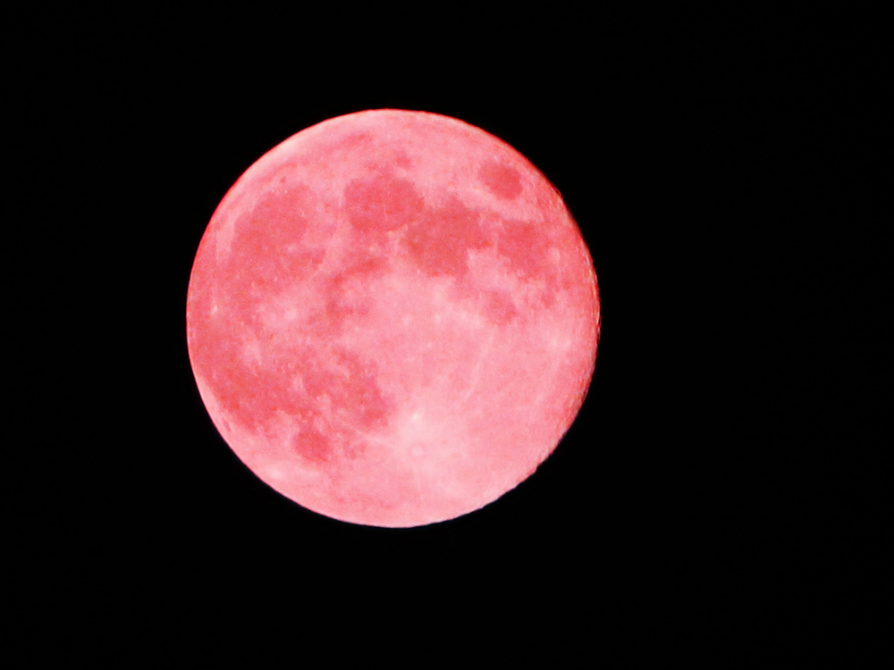 La "Luna rosa" puede mover por completo tu situación sentimental.