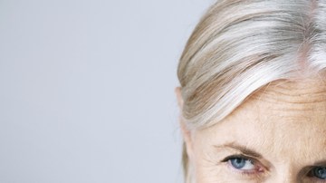 Suplementos para la memoria