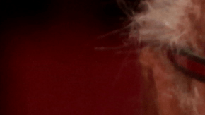 Stan Lee falleció a los 95 años.