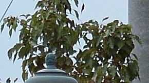 Por el contexto inflacionario Starbucks incrementará sus costos, la última alza se dio en octubre.