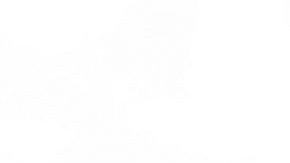 Salvador Cabañas sueña con regresar a México.