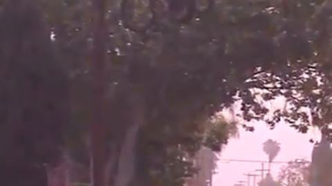 Las autoridades acordonaron el área.