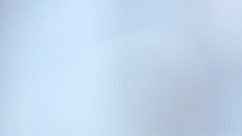 Beneficios del té