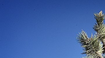 La pareja discutía en Yucca Valley.
