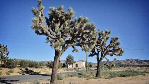 La pareja discutía en Yucca Valley.