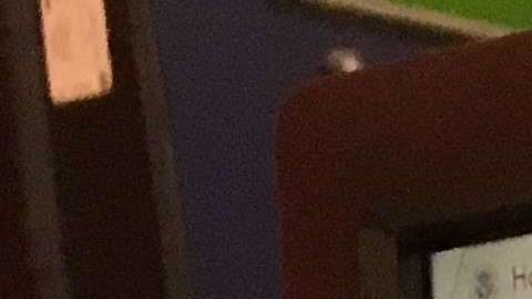 El formulario con cambios es el I-212.