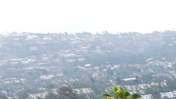 Gaffey Community Garden