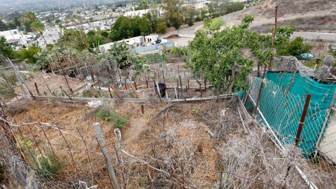 Gaffey Community Garden