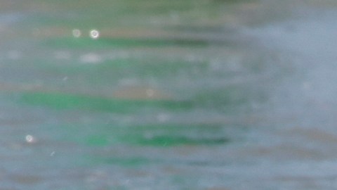 Un niño se divierte jugando en el mar, en el condado de Los Ángeles. (Aurelia Ventura/La Opinion)