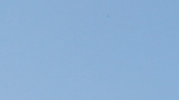 Foto: Aurelia Ventura/La Opinión