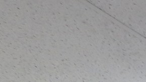 Angélica Salas, directora ejecutiva de CHIRLA, habló del espíritu de lucha de los Dreamers. / foto: Aurelia Ventura.