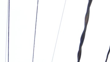 06/22/18 / LOS ANGELES/Several dozen low-income families are being evicted by the new owners.  According to the tenants seven apartment buildings, near the University of Southern California, are being renovated and rented exclusively to USC students.  (Aurelia Ventura/La Opinion)Ê