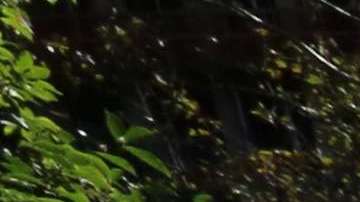 En el otoño protestaron en City Hall