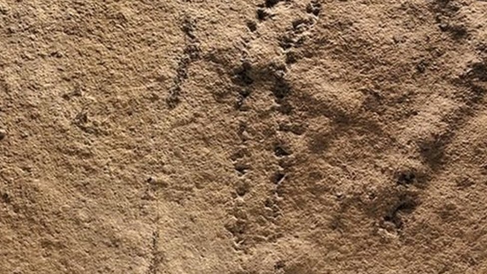 Huella encontrada en China en rocas de entre 551 y 541 millones de años.