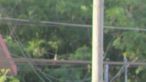 Ejército Mexicano /EFE