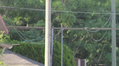 Ejército Mexicano /EFE